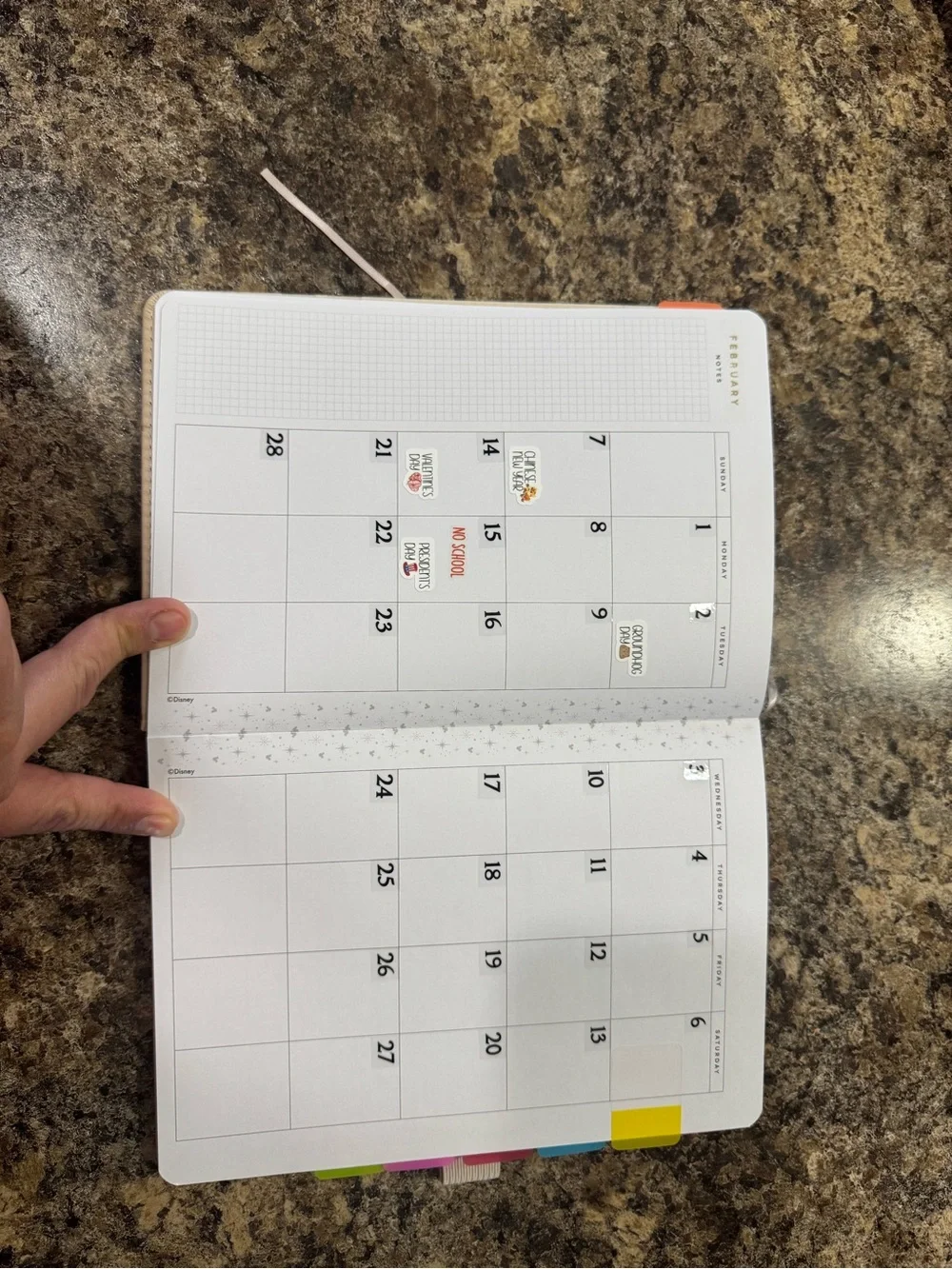 Happy planner Mickey Mouse undated weekly planner with tassel